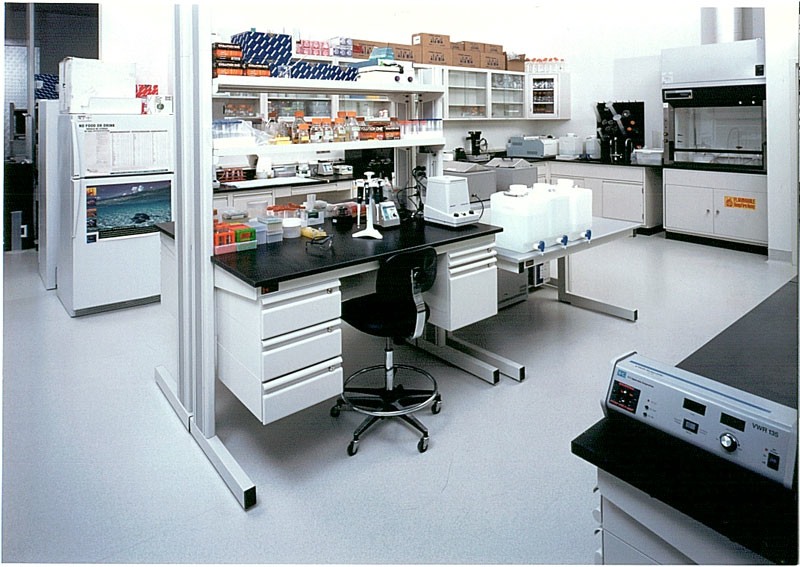 Evolution-Lab-2