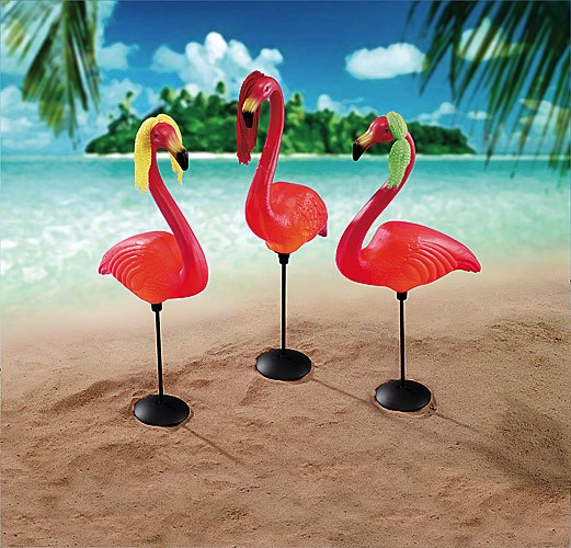 72D_nl_Flamingo_3beach