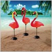 72D_nl_Flamingo_3beach